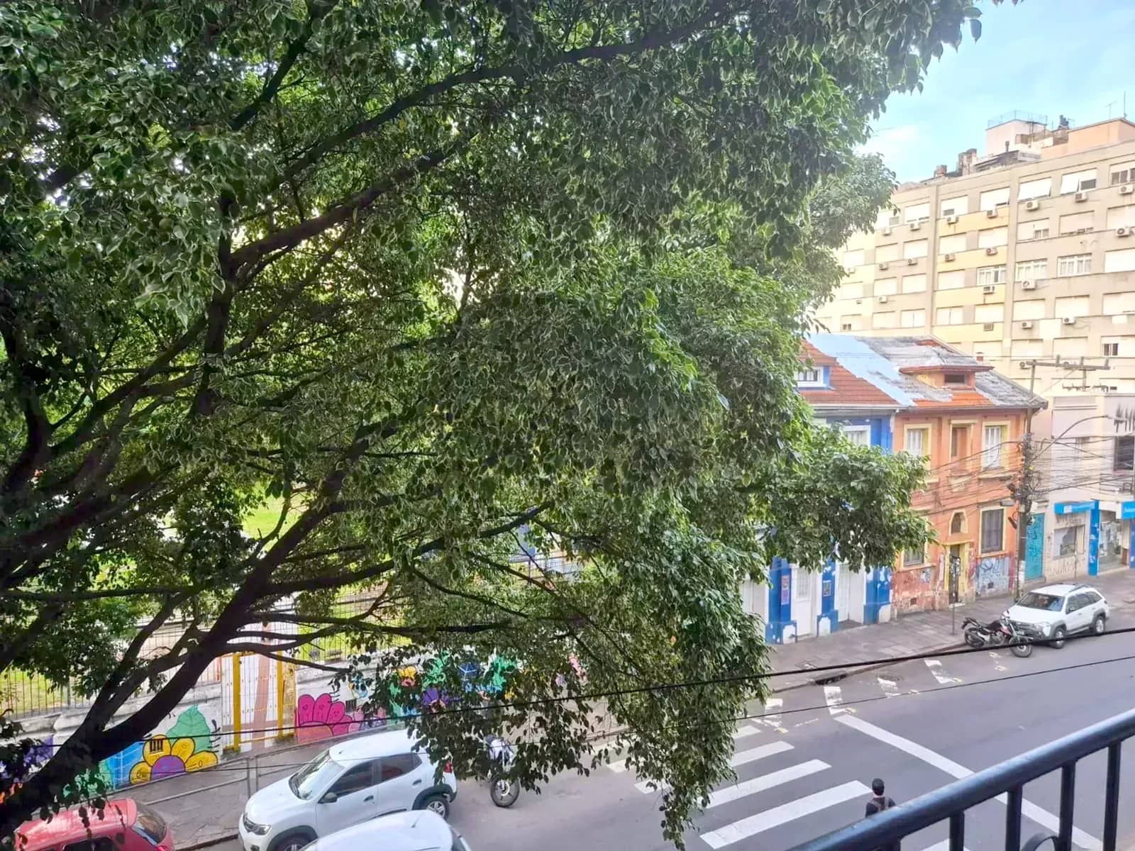 Vista das árvores da rua
