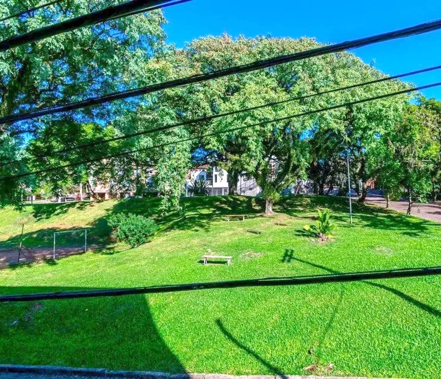 Vista para a área verde em frente