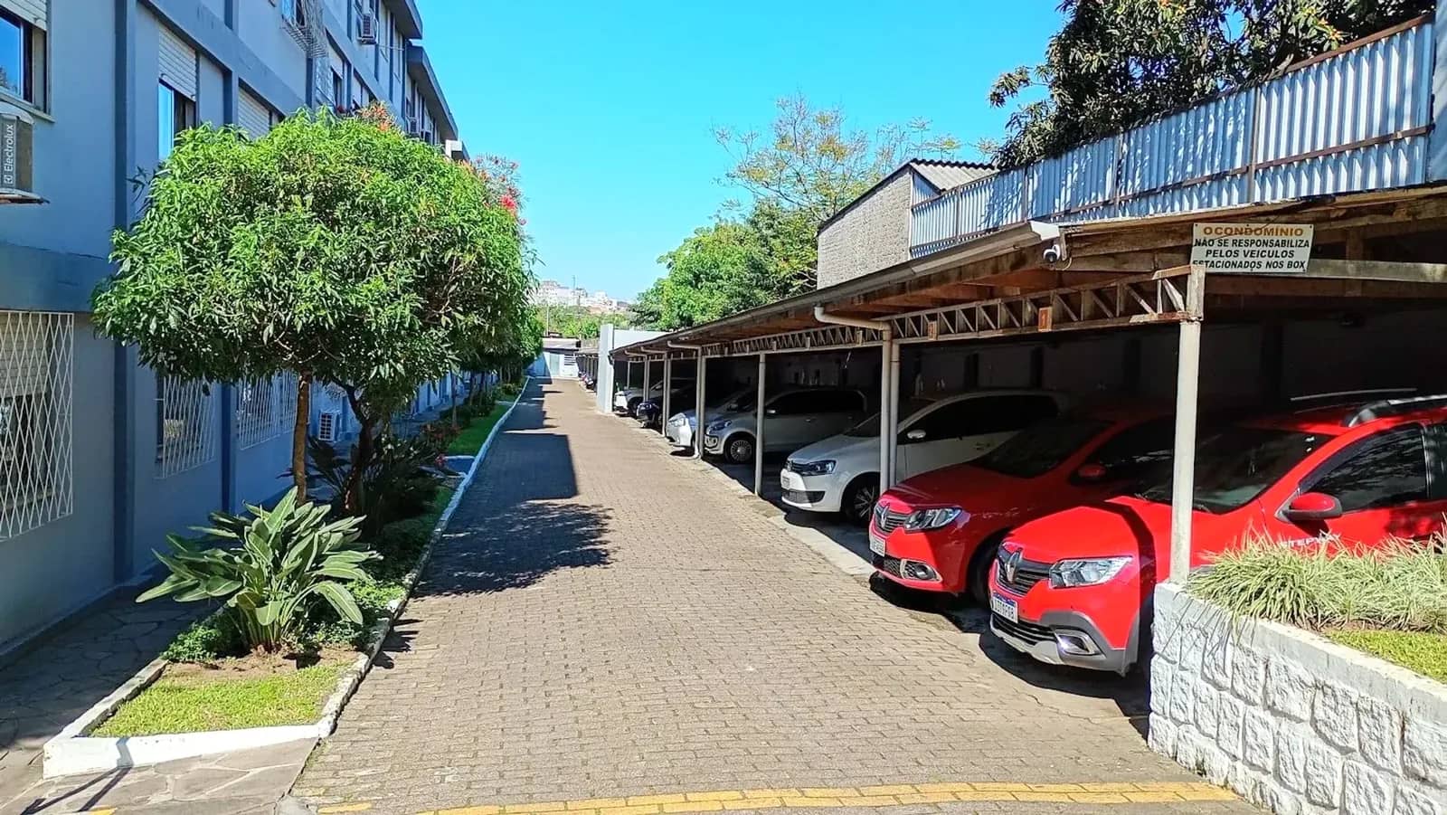 Rua interna do condomínio arborizado