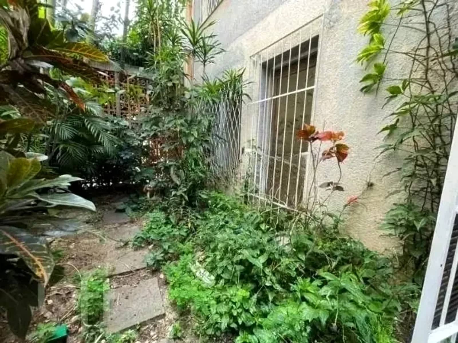 Jardim