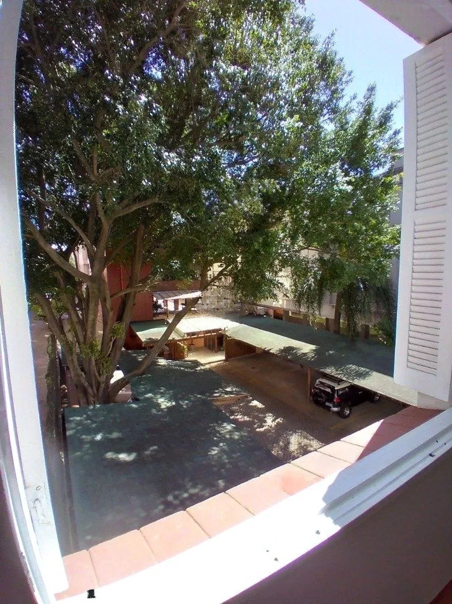 Vista arborizada da janela