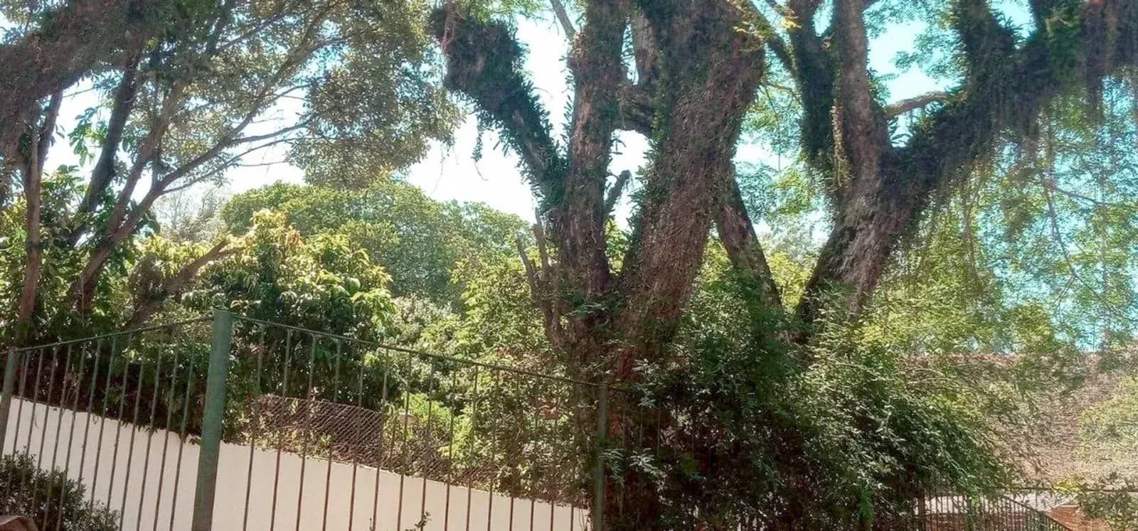 Área verde do condomínio
