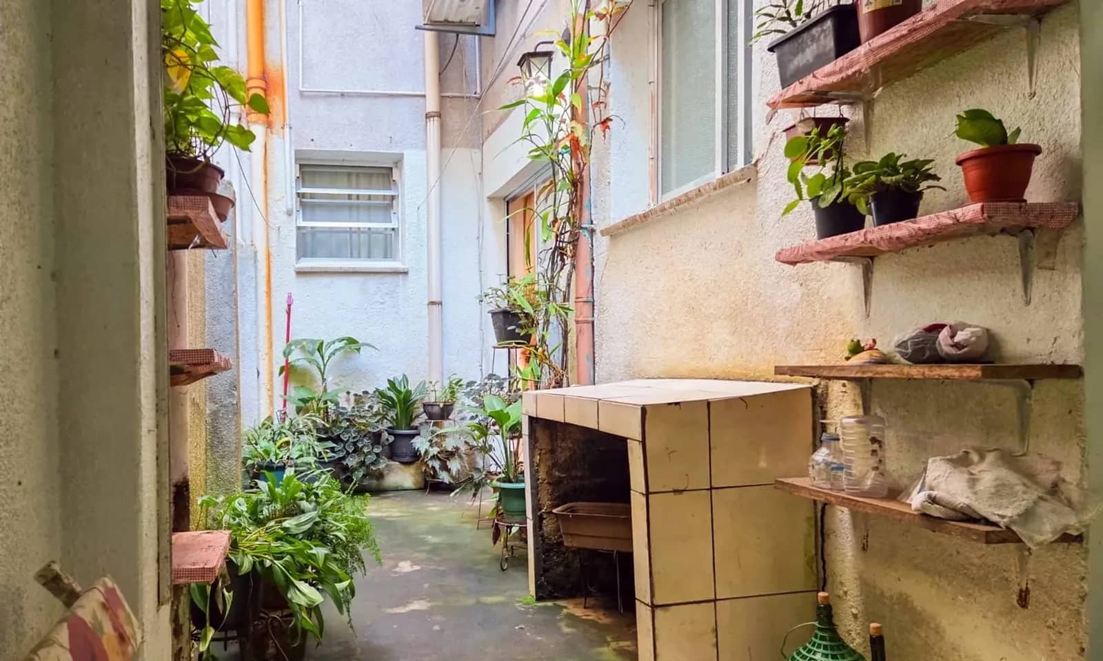 Pátio com plantas e bancada