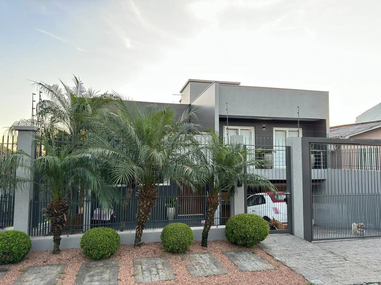 A fachada vista da rua, atrás das palmeiras e do jardim.