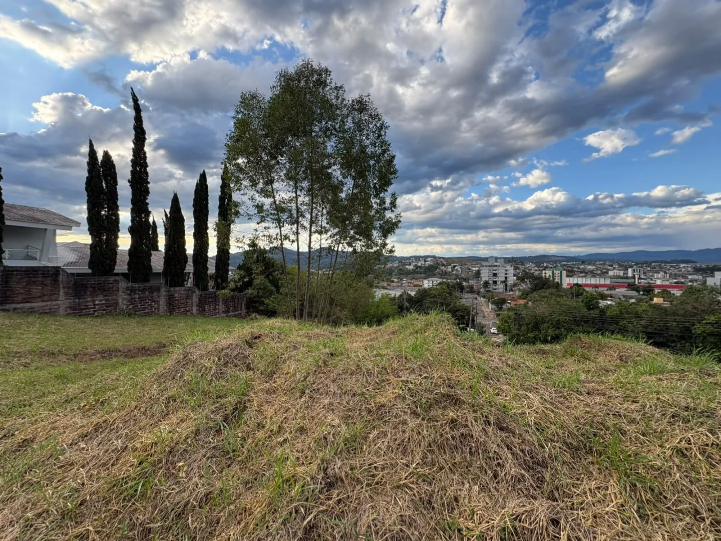 Árvores no terreno, muro de tijolos à esquerda e a cidade ao fundo.