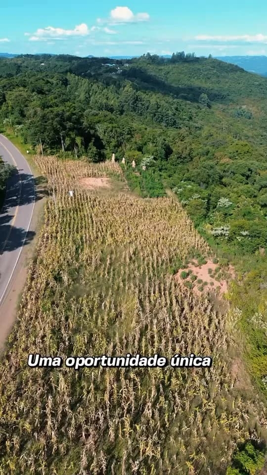 Vista aérea da estrada e dos lotes junto à plantação, entre as coxilhas da Serra Gaúcha.