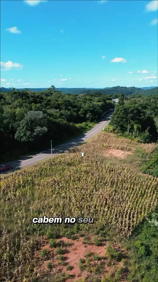 Vista aérea da estrada de acesso e de um dos lotes, ainda com plantação, no loteamento Linha Nova.